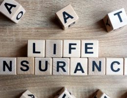 Life Insurance Companies in Tampa